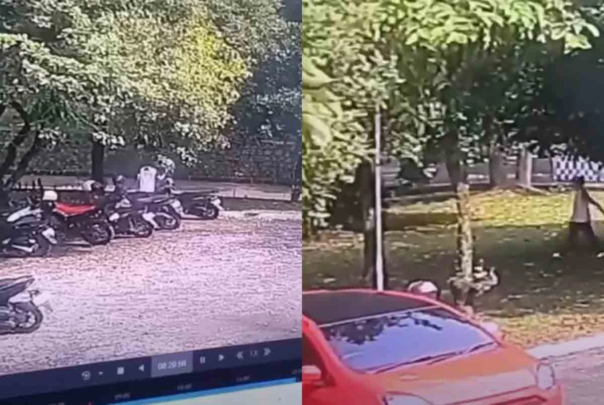 Pelaku Maling Helm di Gymnasium IPB University Bogor Terekam CCTV