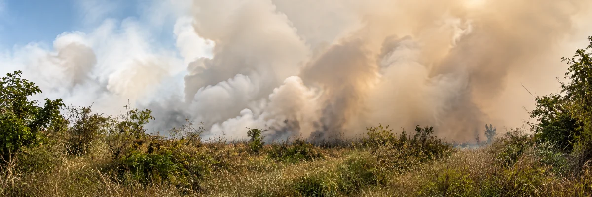 Kebakaran lahan di Kampung Bojong, Desa Gunung Putri