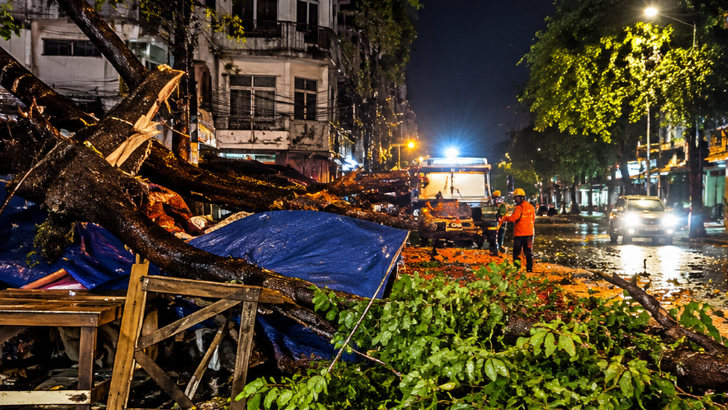 Pohon Tumbang di Sawojajar Bogor Tutup Jalan, Data Kota Catat 201 Kejadian dalam Setahun