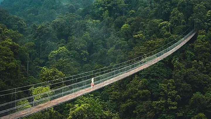 Jembatan Gantung Dari Kabupaten Bogor Hingga Depok Bakal Segera Dibangun, Berikut Lokasinya