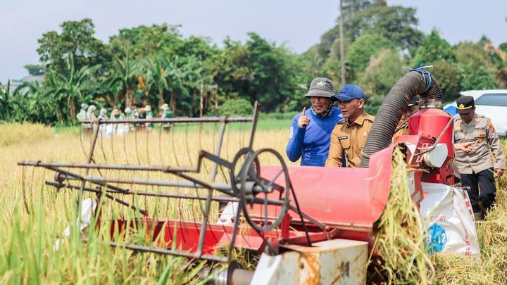 Lahan Pertanian Kota Bogor Tinggal 58 Hektare, Pemkot Siapkan Perlindungan dan Asuransi Petani
