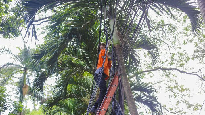 Permintaan Presiden, Pemkot Bogor Bakal Pindahkan Kabel Udara Masuk ke Dalam Tanah Tahun Ini