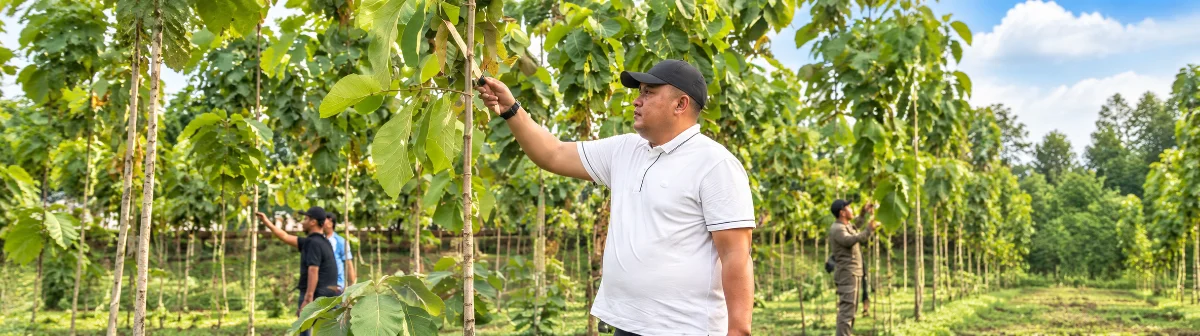 Pemkab Bogor Tanami 220 Hektare Hutan Kota, Rudy Susmanto Perkuat Gerakan Indonesia ASRI di 40 Kecamatan