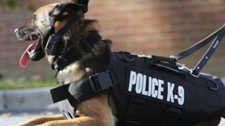 Polres Bogor Turunkan TIM K9 untuk Lacak Anjing Pemburu di Kecamatan Jasinga