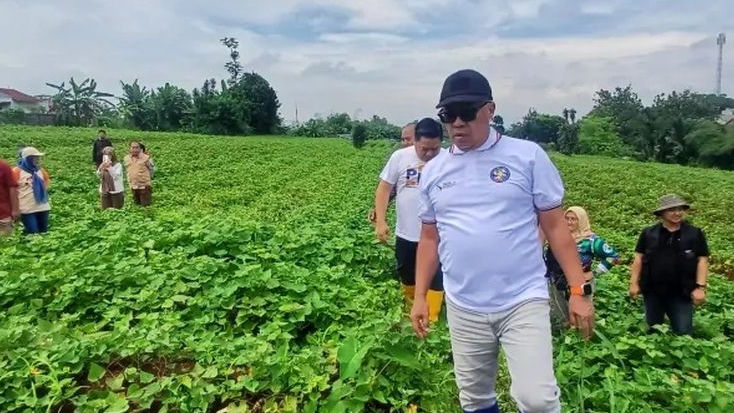 Akhirnya Punya Basecamp Sendiri, Pramuka Kota Bogor Siapkan Bumi Perkemahan di Dramaga