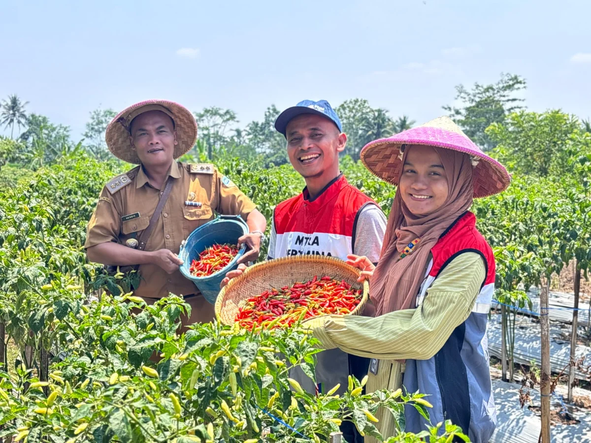 Pertamina dan generasi muda Sukanagara Tasikmalaya mengembangkan pertanian terpadu.