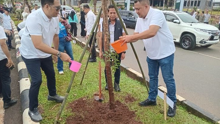 Usai Bertumbangan Diterjang Angin, Pohon-pohon di Kawasan Stadion Pakansari kembali ditanami