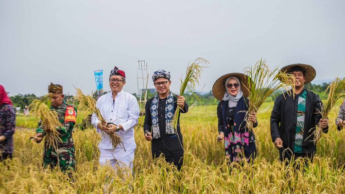 Titip Lahan Pertanian Mulyaharja Dijaga, Bima Arya: Jangan Dikuasai Pengembang